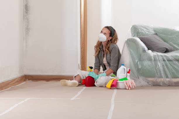 Reliable Mold Remediation contractor in Lumberton, TX by WQB Mold Removal